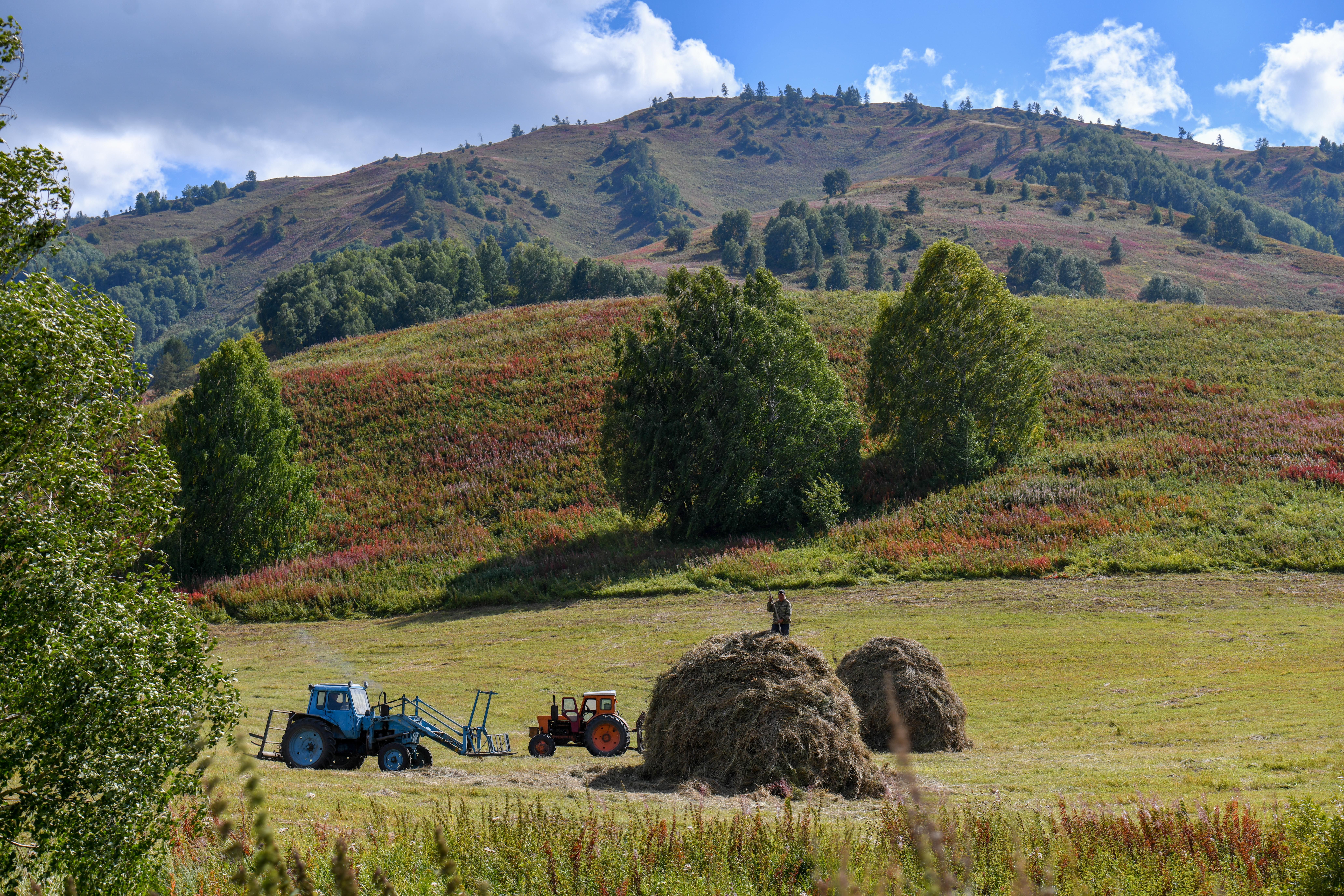 Қыстың қамын жаз ойла