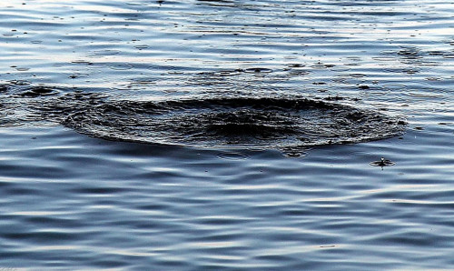 Атырауда суға батып кеткен екінші баланың мәйіті табылды