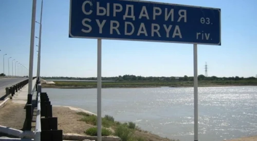 Сырдарияға бата жаздаған қыз құтқарылды