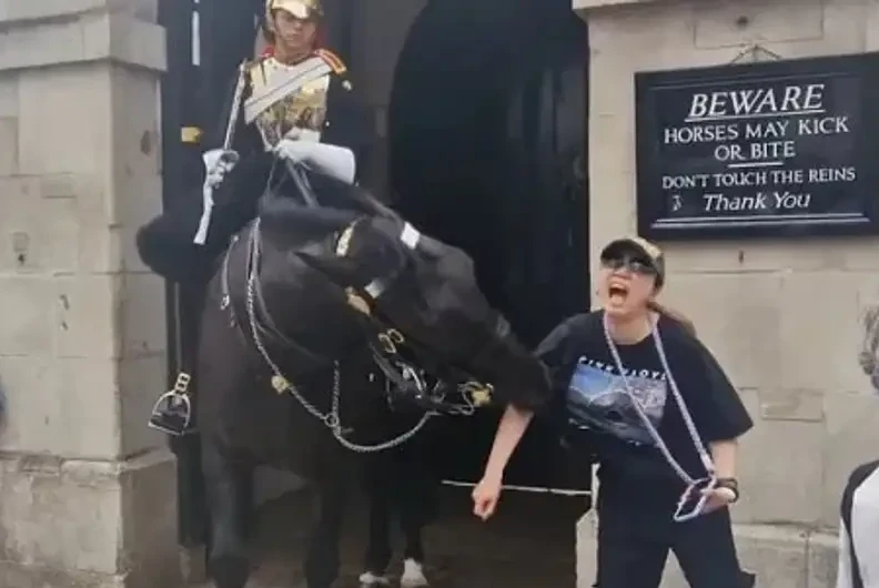 Лондонда суретке түспекші болған туристі жылқы тістеп алған