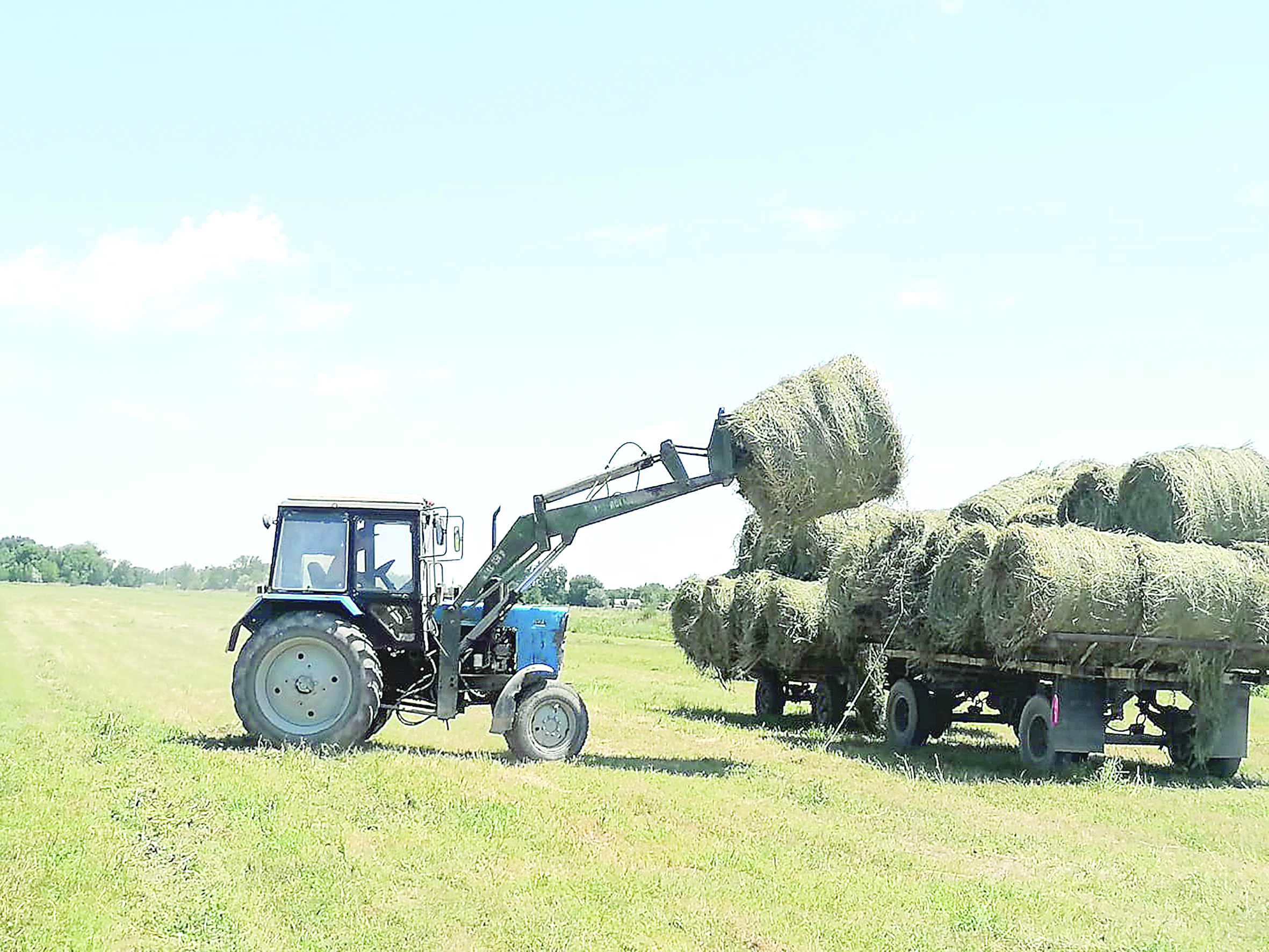 Шалғайдағы ауыл шабындықтан тарығып отыр