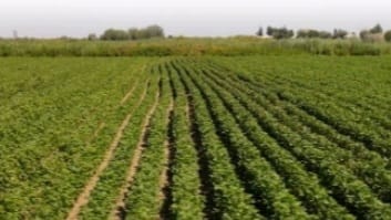 Ел шаруалары суармалы сумен қамтамасыз етілді