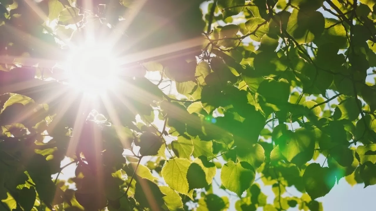 Елімізде 45 градусқа дейін аптап ыстық күтіледі