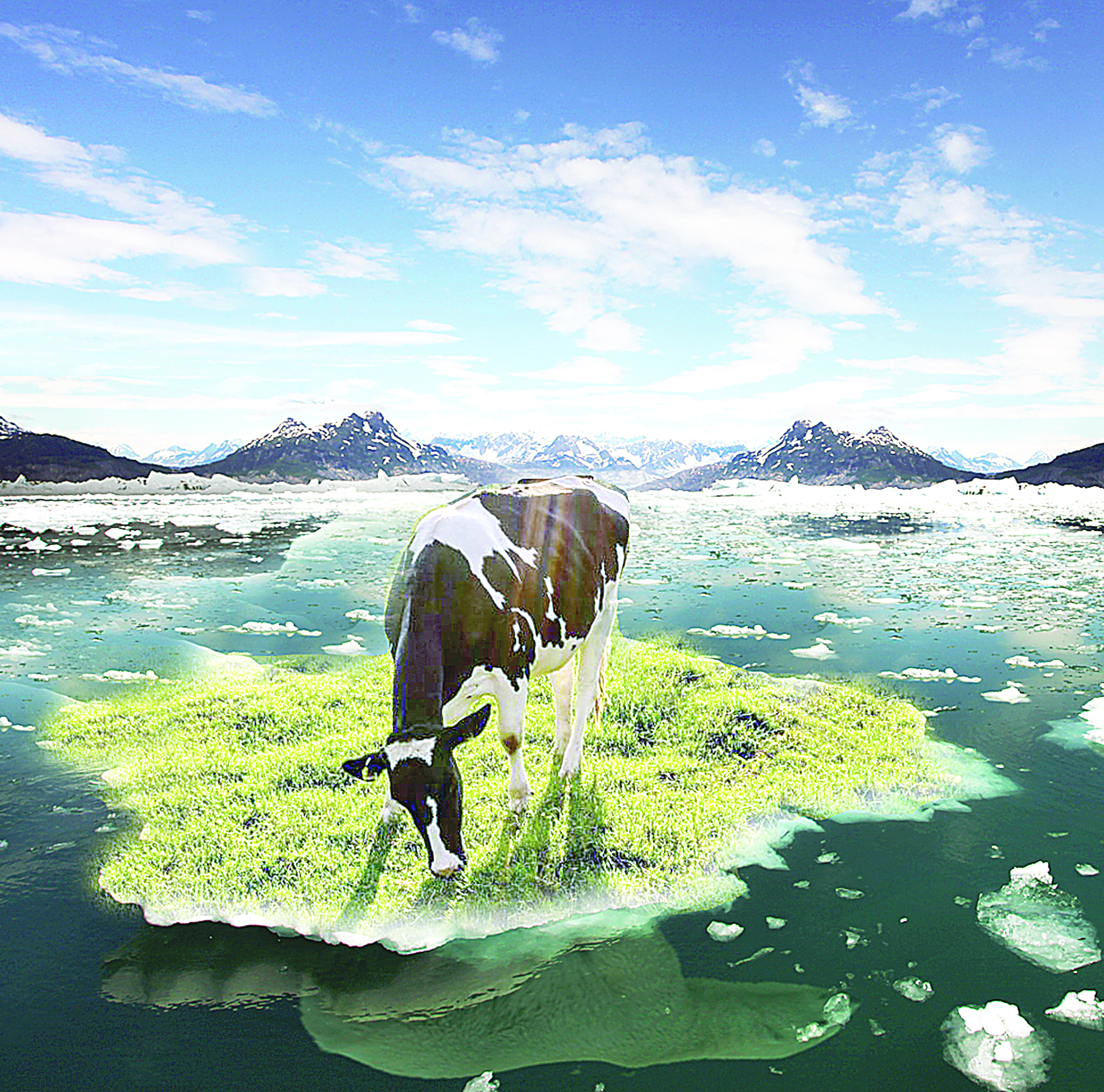 Жаһандық жылыну жайылымдарды тоздырып барады