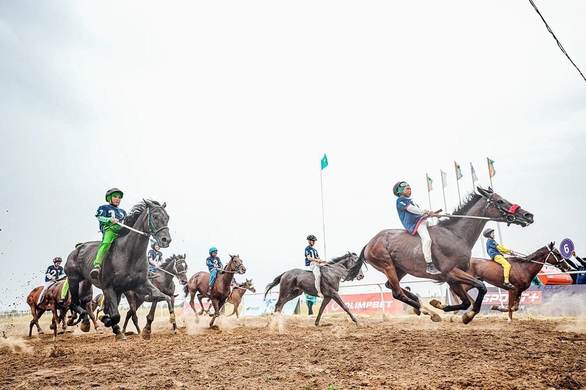 Тоқсан тұлпар топқа түсті