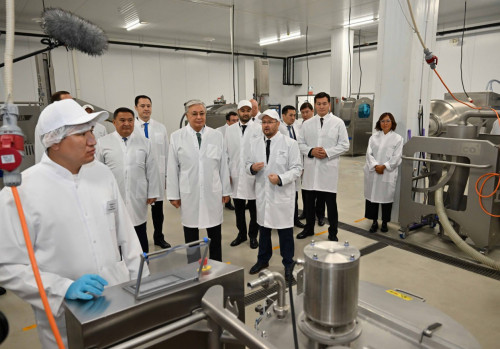 Мемлекет басшысы жартылай фабрикаттар өндірісімен танысты