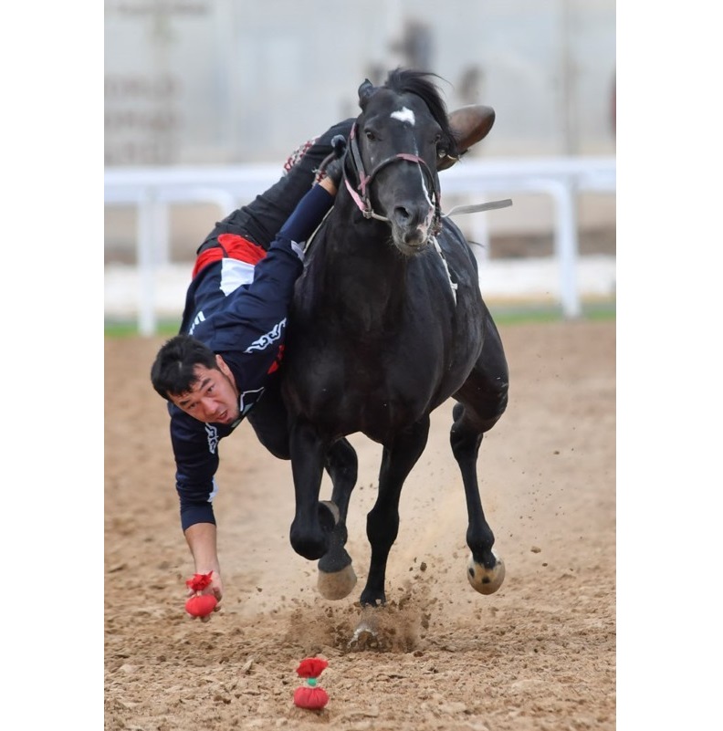 Ат үстіндегі сайыс