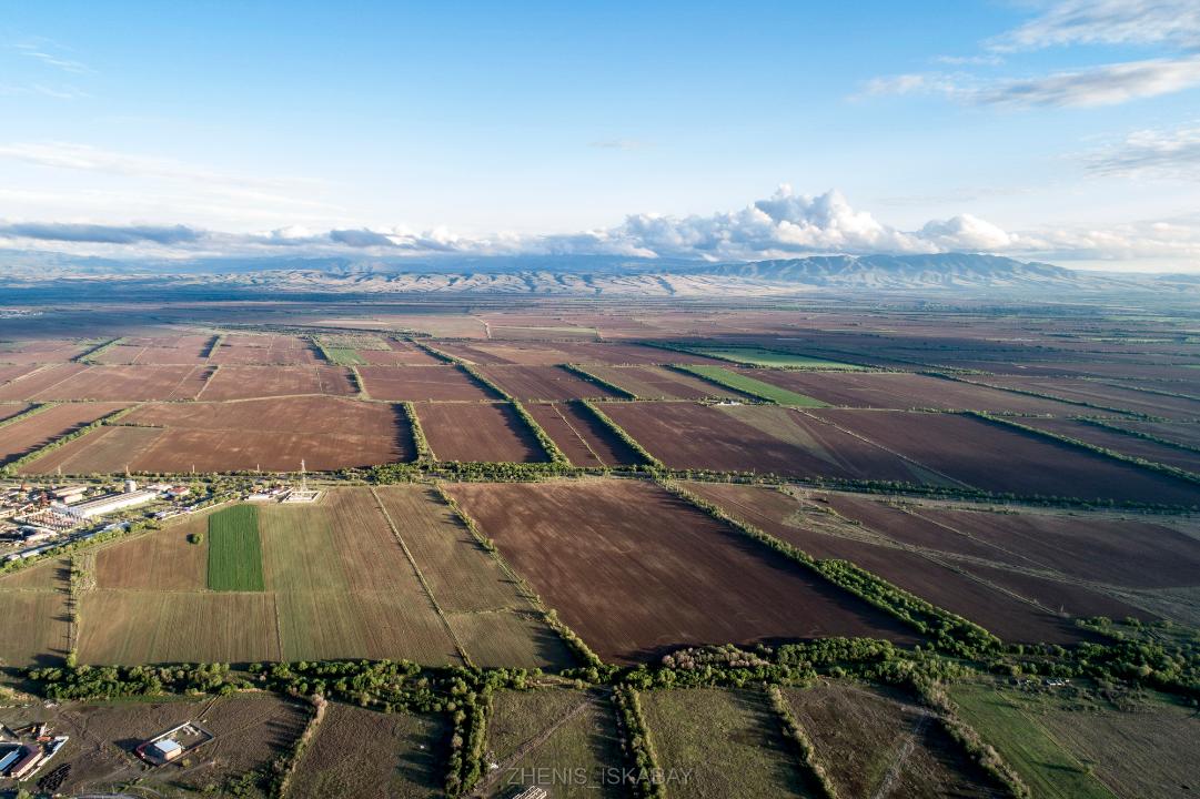 Жетісуда «Заң бойынша жер» пилоттық жобасы іске қосылады
