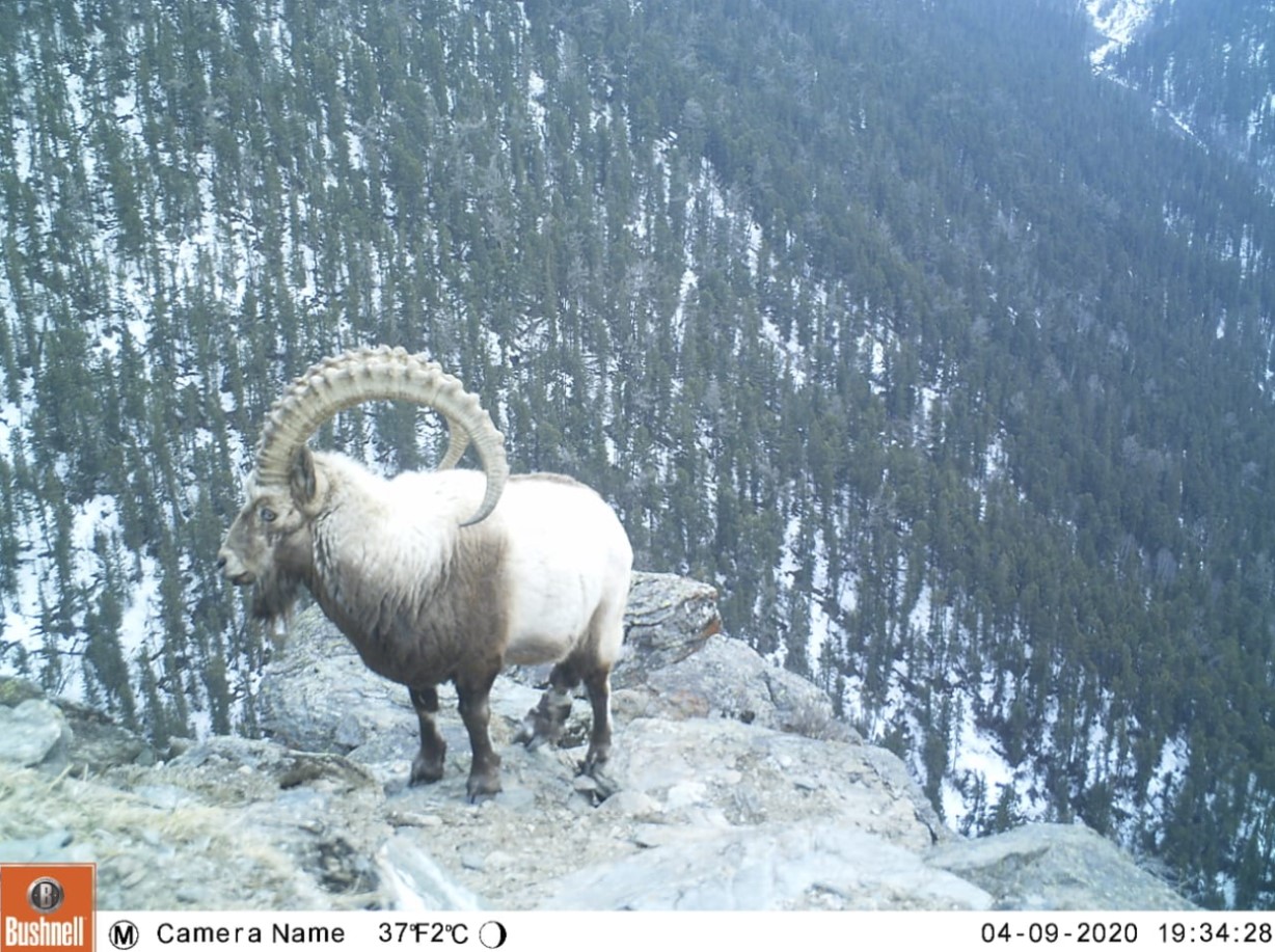 Шығыс Қазақстан облысы,
Катонқарағай ауданы, 
Аршаты ауылы