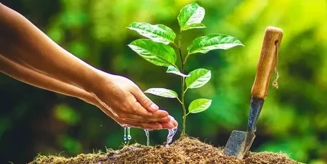 Астана мектептерінде 2500 көшет отырғызылды