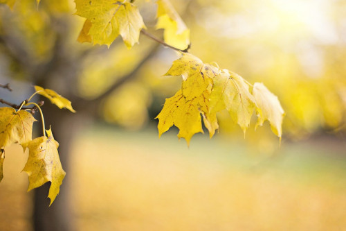 Қараша айында ауа райы қандай болады