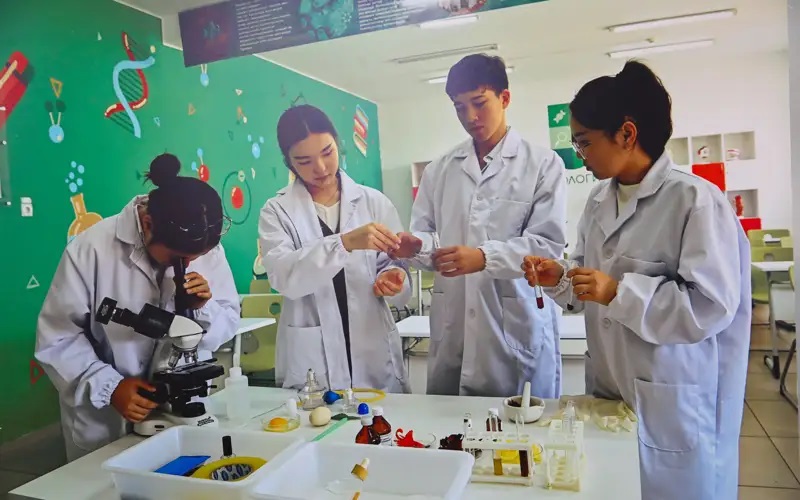 Қаланың мектебінен қалыспайды