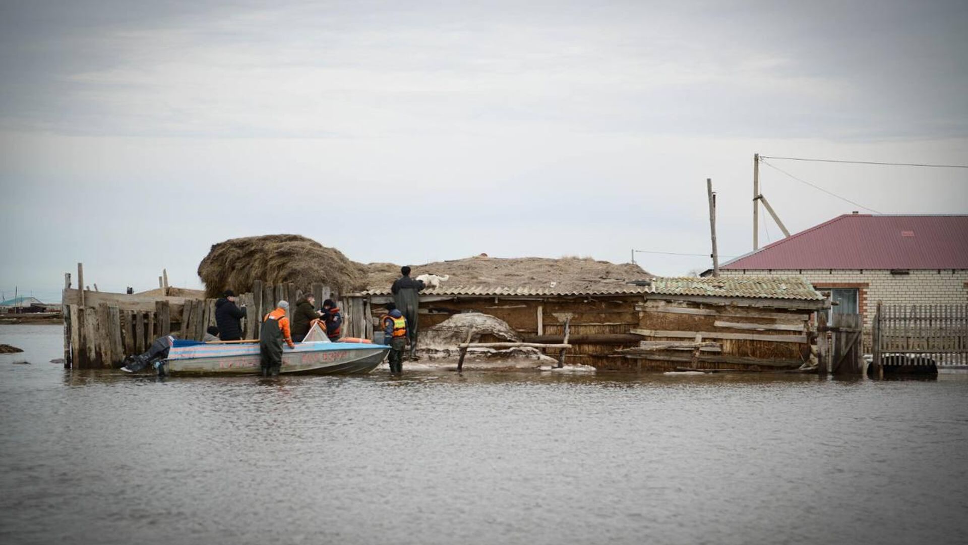 Су тасқыны: Үкімет ел басына туған ауыр сынақты қалай еңсерді
