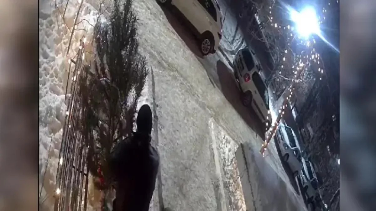 Орал тұрғыны ауладан жаңа жылдық шыршаны ұрлап кеткен