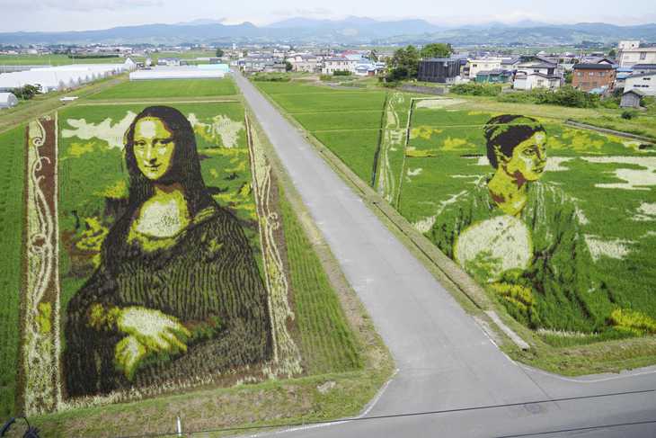 Ғалам ғажаптары: Бедерлі алқап