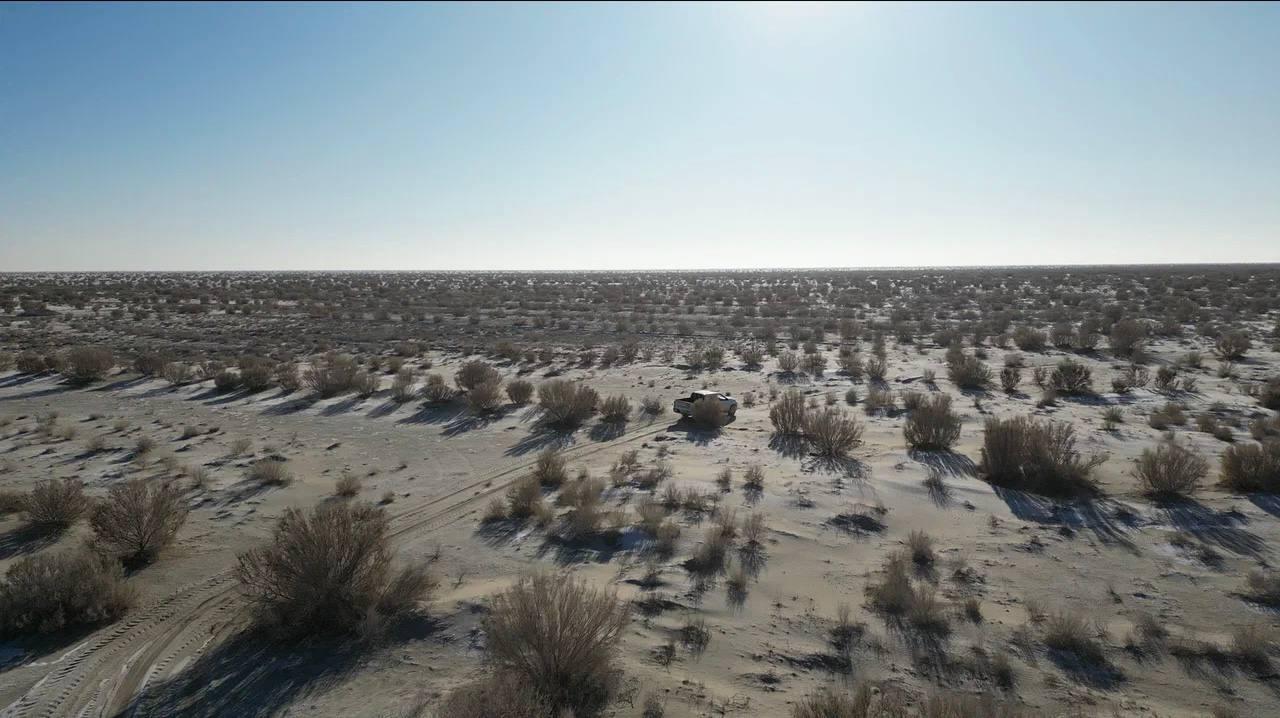 Арал теңізінің түбіне ағаш отырғызылады