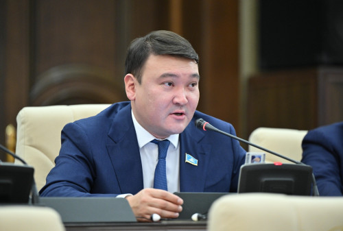 «Ұры мен полиция сыбайлас па». Депутат полицейлердің қызметін сынға алды