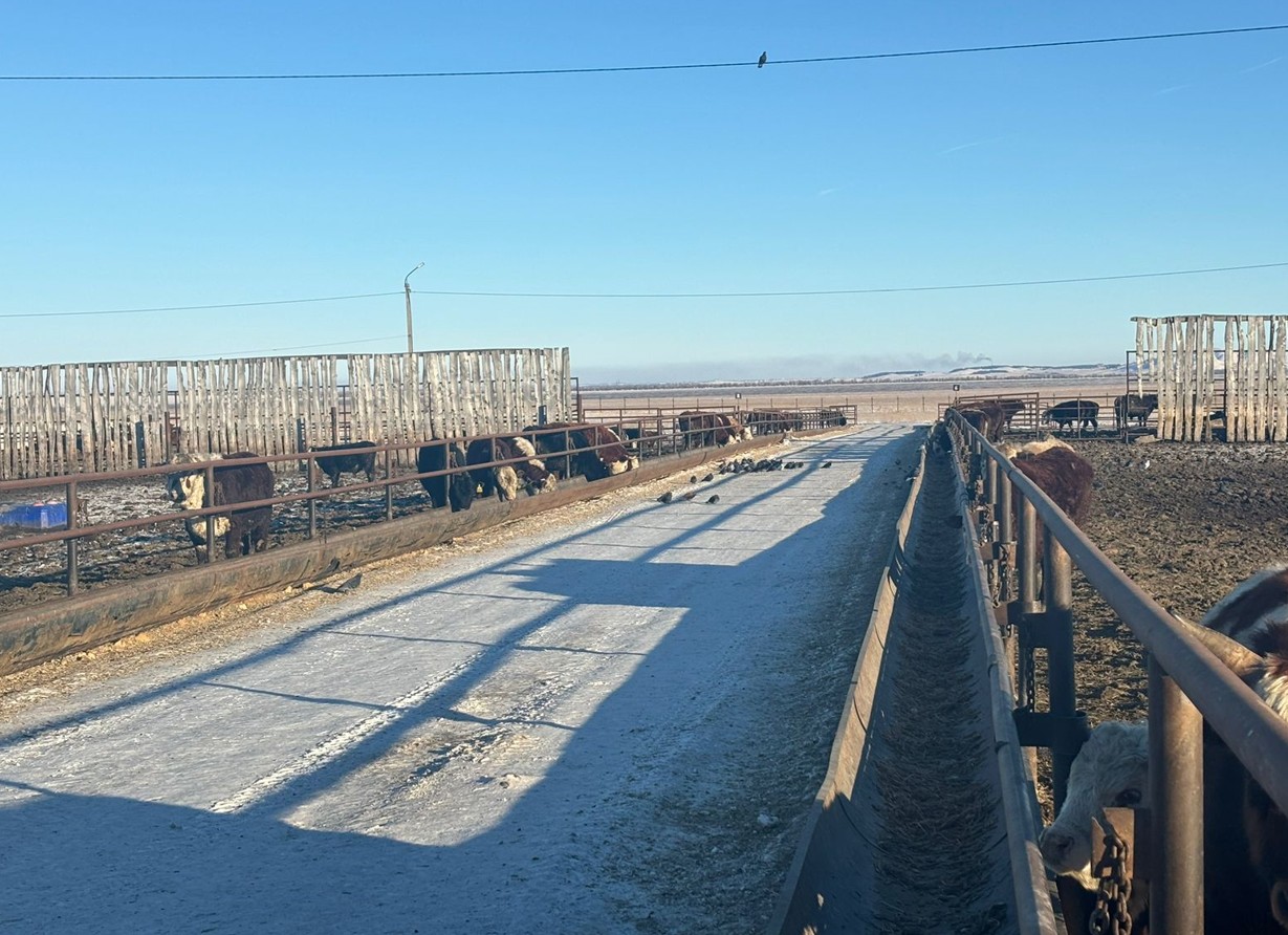 Ақбастан асатыны жоқ