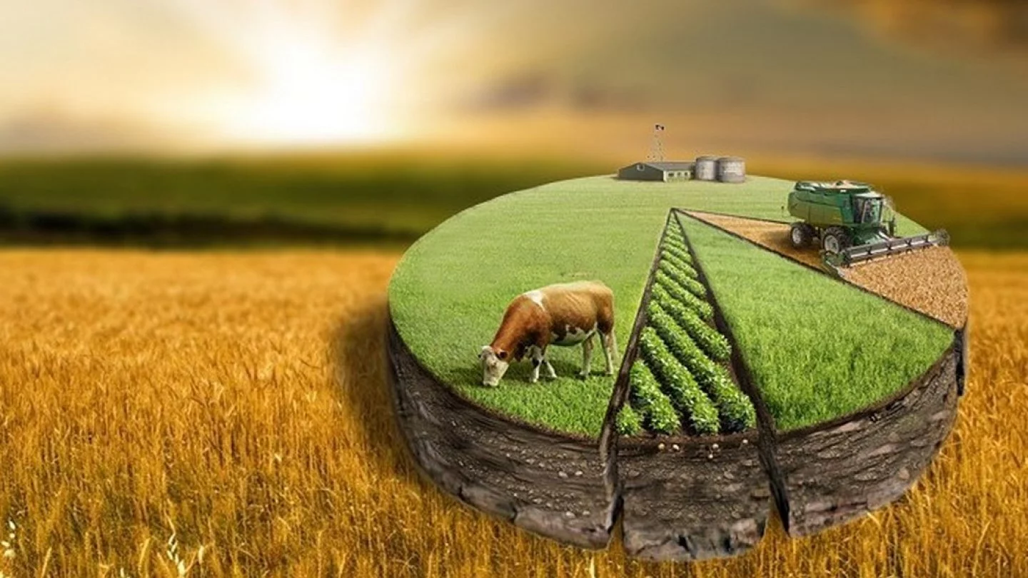 Мемлекет қорына 12,1 млн га ауыл шаруашылығы жері қайтарылды