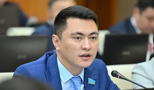 Дәулет Мұқаев балабақшалардың жұмыс уақытын ұзартуды ұсынды