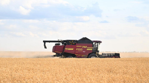 26,7 млн тонна астық: Былтыр диқандар соңғы 13 жылда болмаған көрсеткішке жеткен