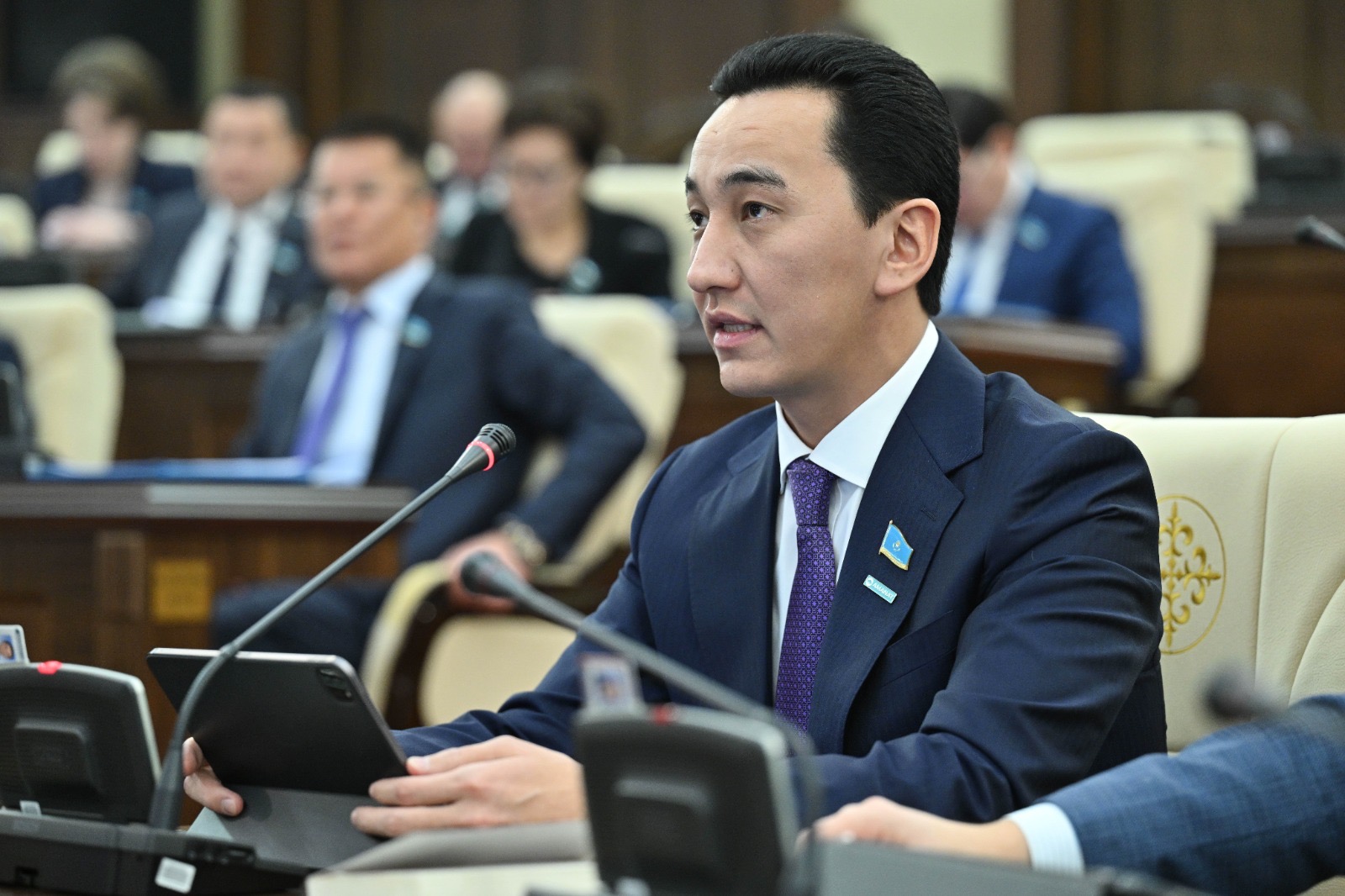 Мемлекеттік органдарда  үйлестірудің жоқтығынан  газ тұтынушылары зардап шегеді– депутат