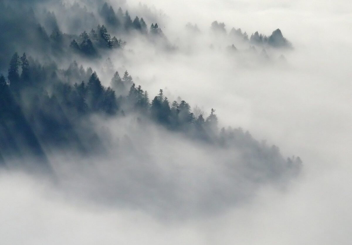 Бүгін тұман түсіп, көктайғақ болады