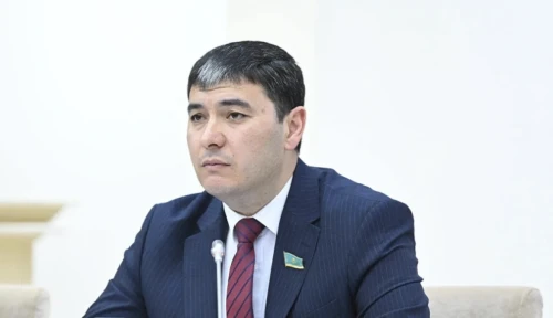 Салық мөлшері халықтың жағдайына қарай сараланады - Алишер Сатвалдиев