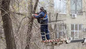 Жамбыл облысындағы мектепте жұмысшы мерт болды