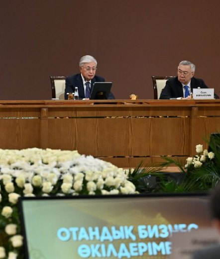 Квазимемлекеттік сектор субъектілерін құруға мораторий енгізілді - Президент