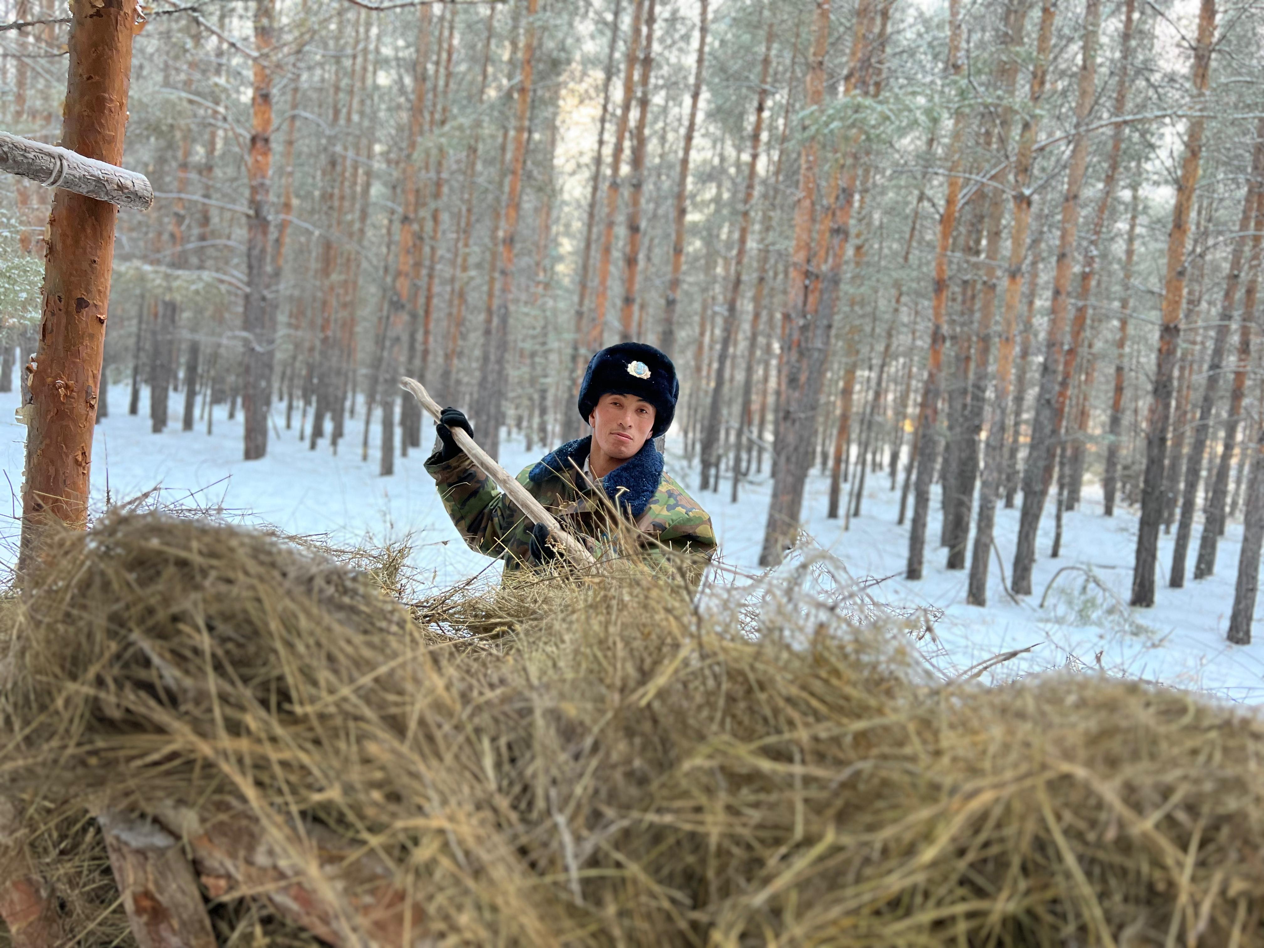 Уақытпен санаспайтын орманшы