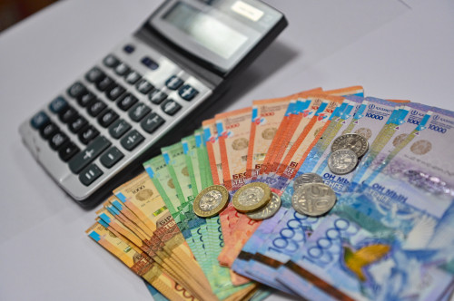 Ел азаматтарының орташа жалақы мөлшері белгілі болды