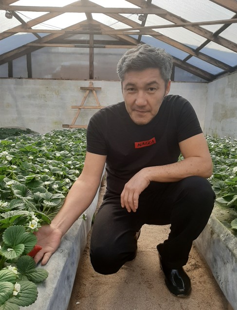 Мемлекеттік қолдаудың шарапаты