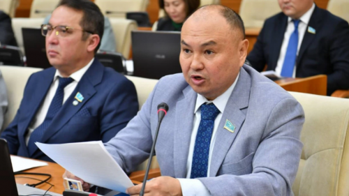 Тойымсыз мердігерлерді тамақтандыруды тоқтату керек – Ерлан Саиров