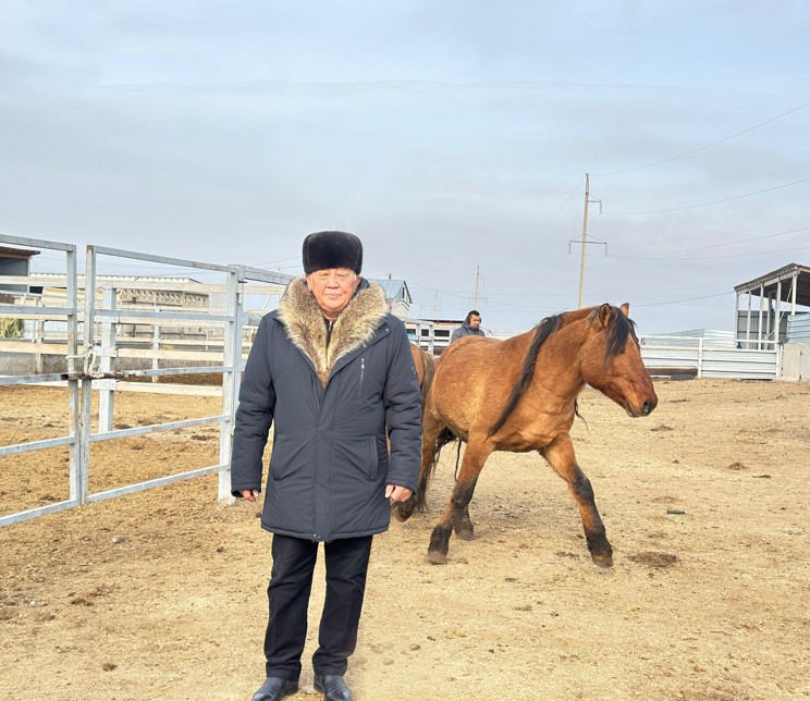 Бәсі биік Мұғалжар жылқысы