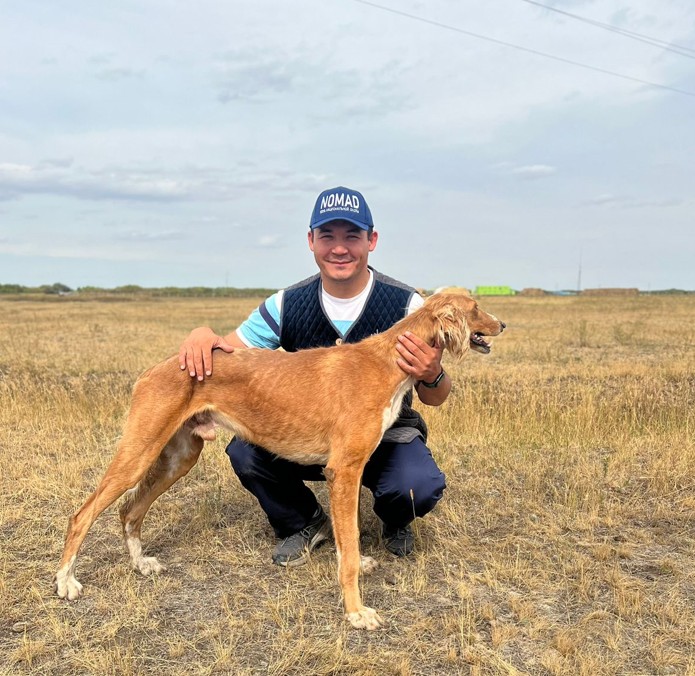 Қазақ тазысының 3 мың жылдық тарихы бар - Абзал Досыман