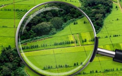 Ақмолада 39,3 мың гектар жер тәркіленді