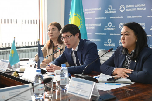 Кәсіпкерлер вице-министрмен салық мәселесін талқылады