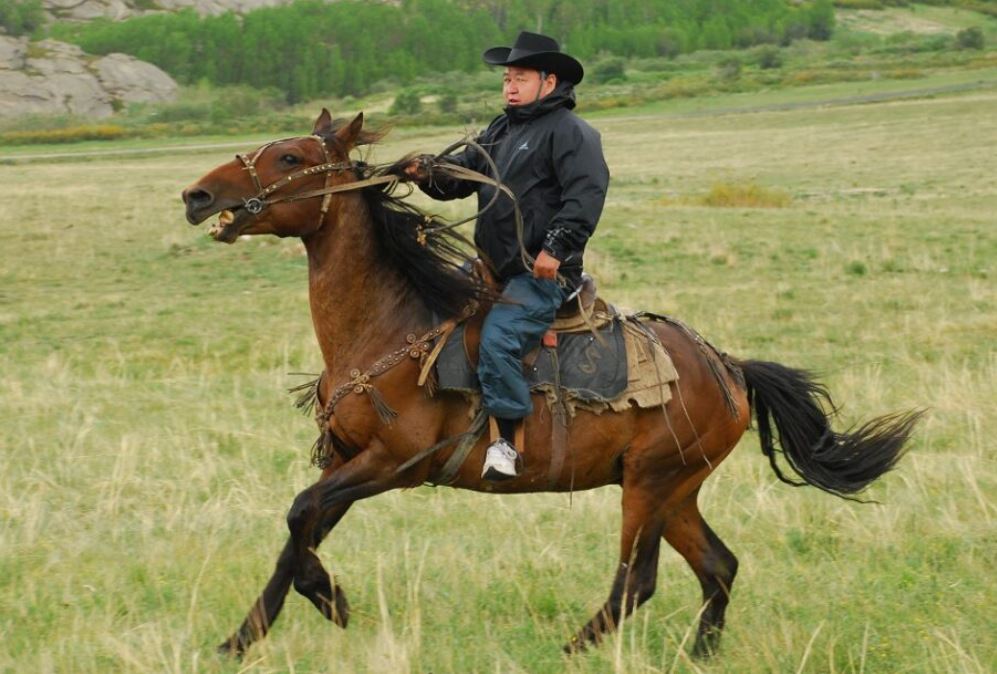 Қазанаттың қамқоршысы