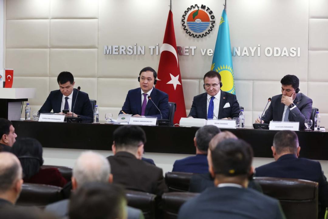 Түрік инвесторлары Жамбылға келуге ниетті