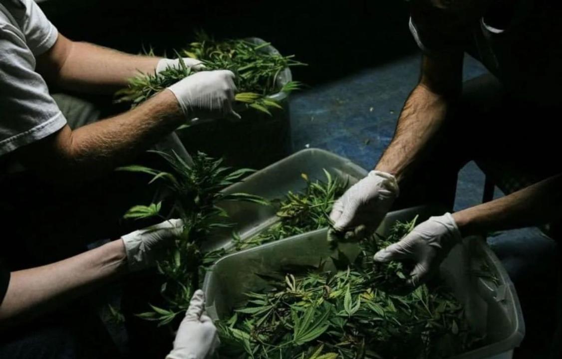 ШҚО тұрғынынан 4 келіден астам есірткі тәркіленді