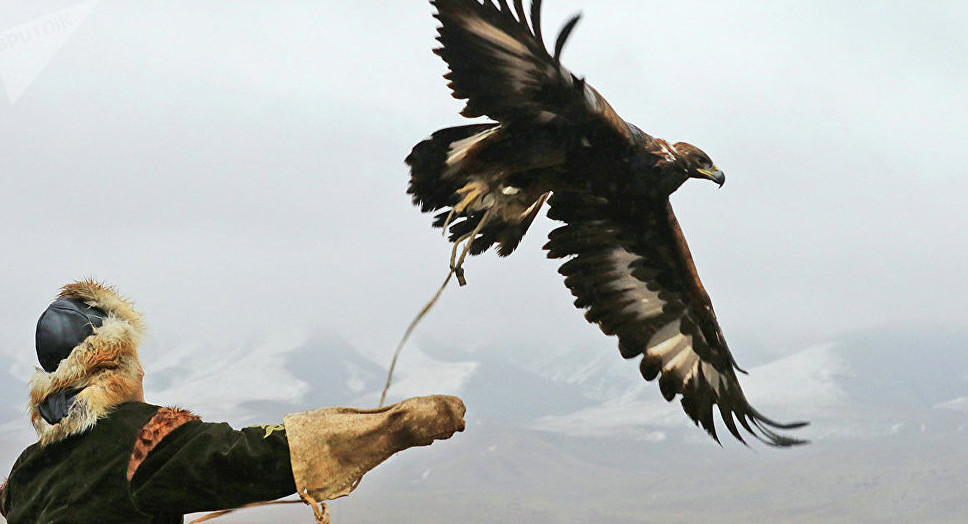 СҚО-да құсбегілердің сайысы өтті