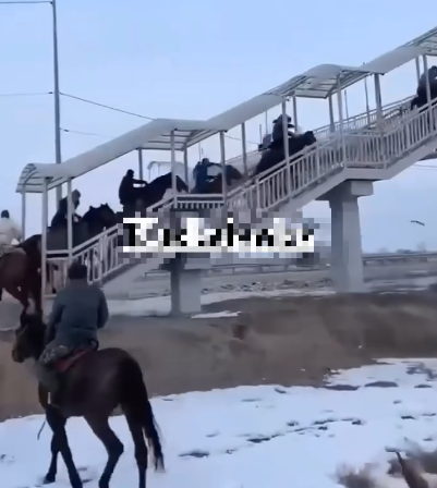 «ҚазАвтоЖол» көкпаршыларға ескерту жасады