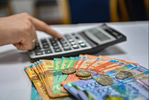 Шаруаларды қолдауға 116 млрд теңгеден астам қаржы бөлінді