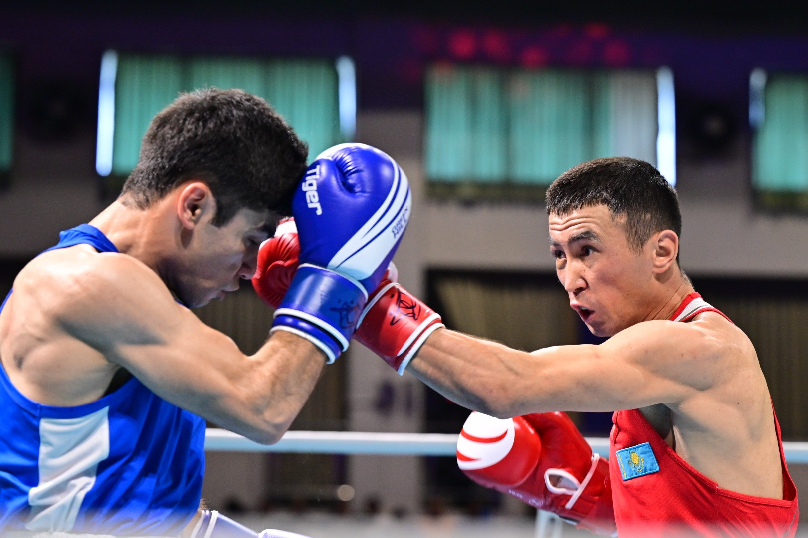 Софиядағы сайыс