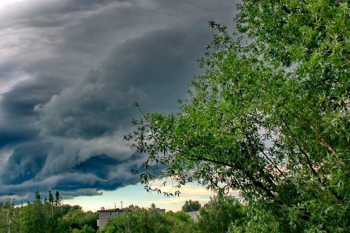 +20 градус: Наурыз айында ауа райы қандай болады?