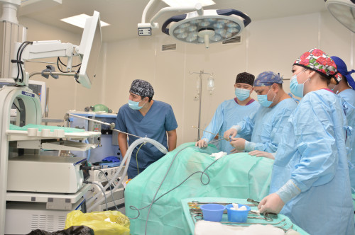 ШҚО-да ауыл медицинасын жаңғырту жалғасып жатыр