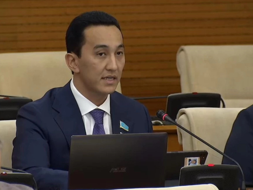 Қазақстандықтар жылына 65 сағатын кітап оқуға арнайды - депутат