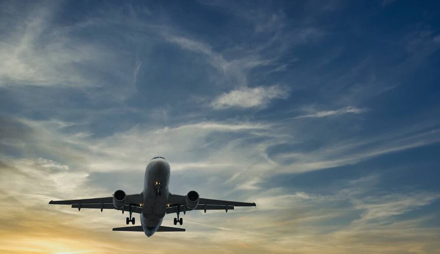 Дәрігер ұшақ бортында адам өмірін сақтап қалды