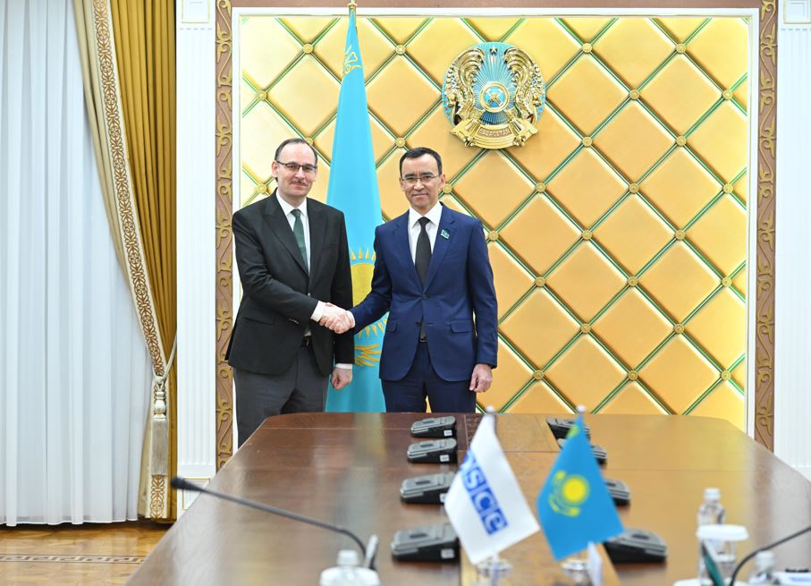 Сенат Төрағасы Фолькер Фробартпен  кездесті